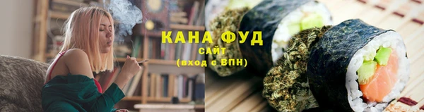 мдпв Гусь-Хрустальный