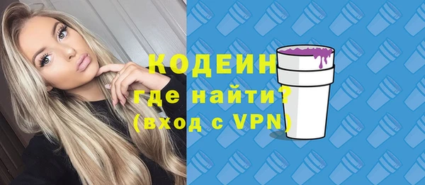мдпв Дмитриев