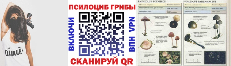 Галлюциногенные грибы Magic Shrooms  Купить где  Злынка 